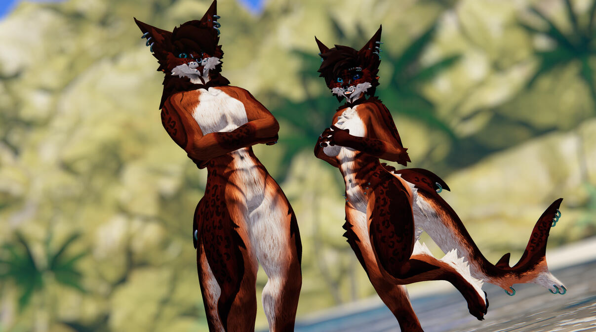 No Stealing, Black Raven