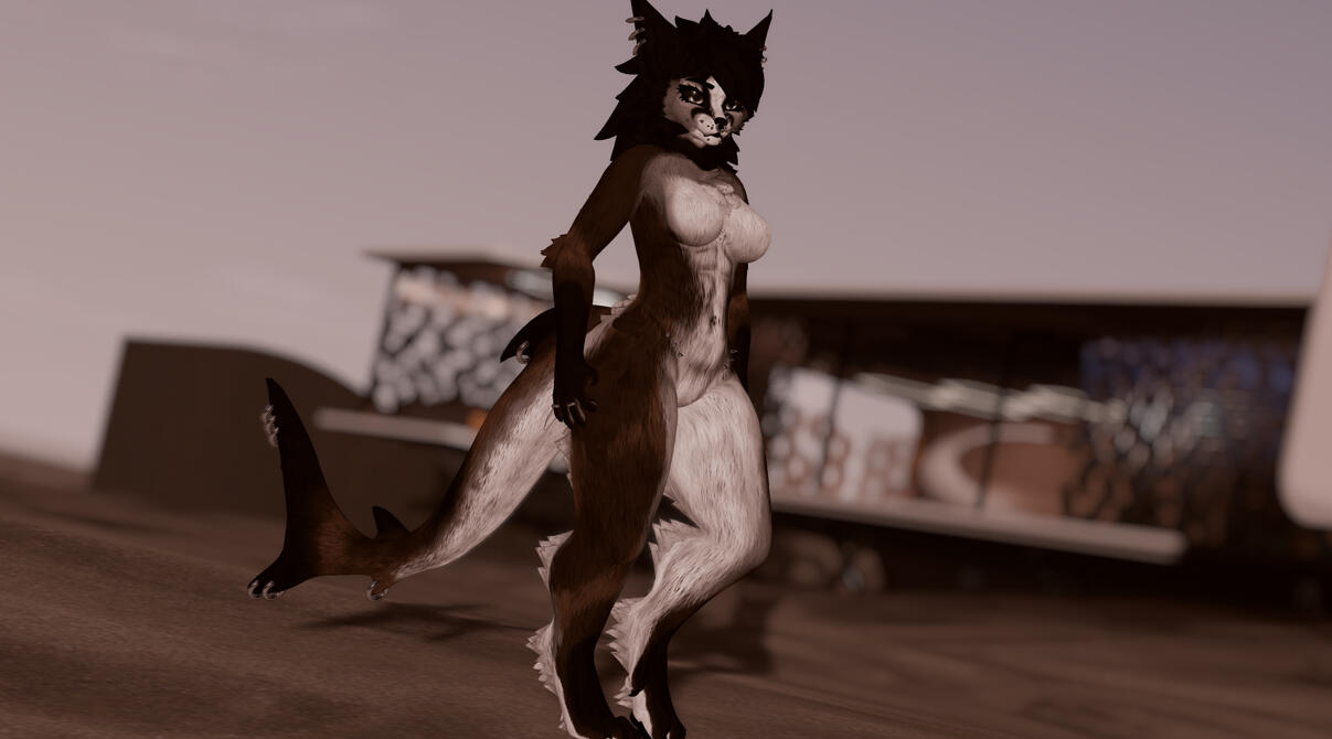 No Stealing, Black Raven